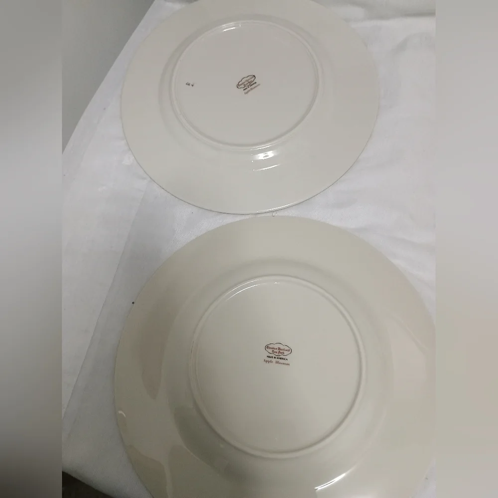 Pair Of Theodore Haviland New York dinner plates. Apple Blossom pattern - Picture 7 of 9